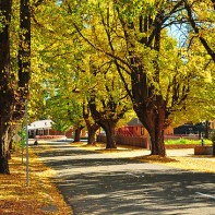 Taken during the Autumn festival
