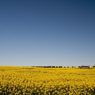 Located in Windermere, Ballarat