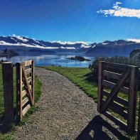 Wanaka Morning