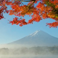 Mt Fuji framed by autumn leaves